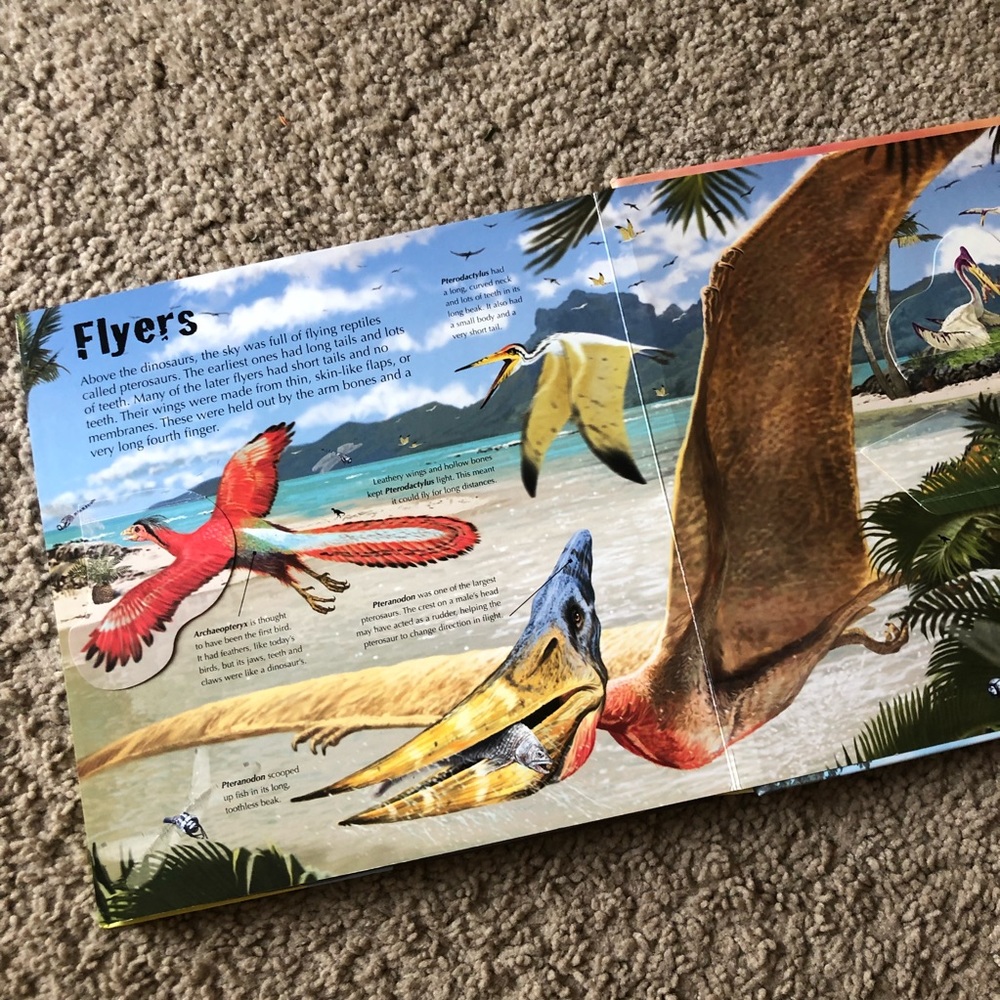 Dinosaurs Octagonal Box Set - Picture 6 of 11